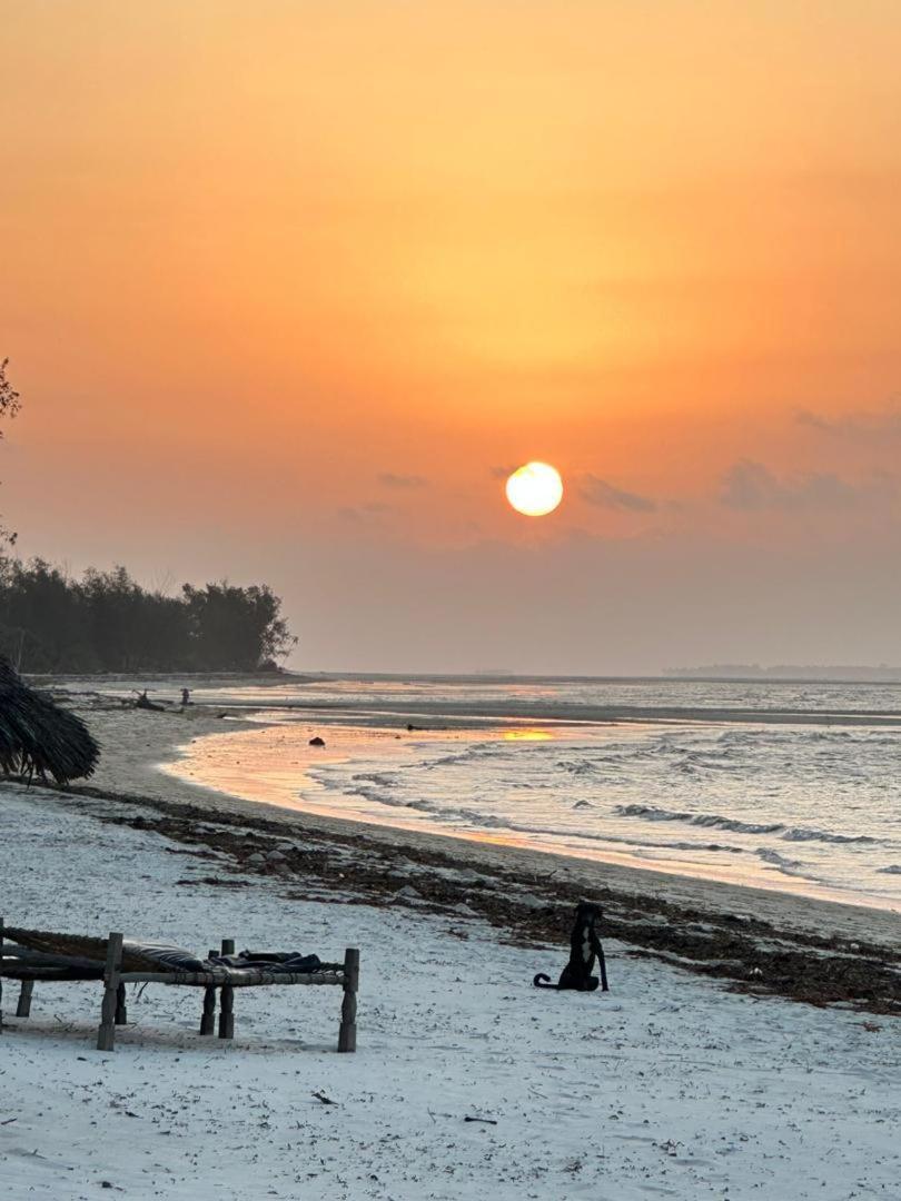 Juani Beach Bungalows Kilindoni Buitenkant foto